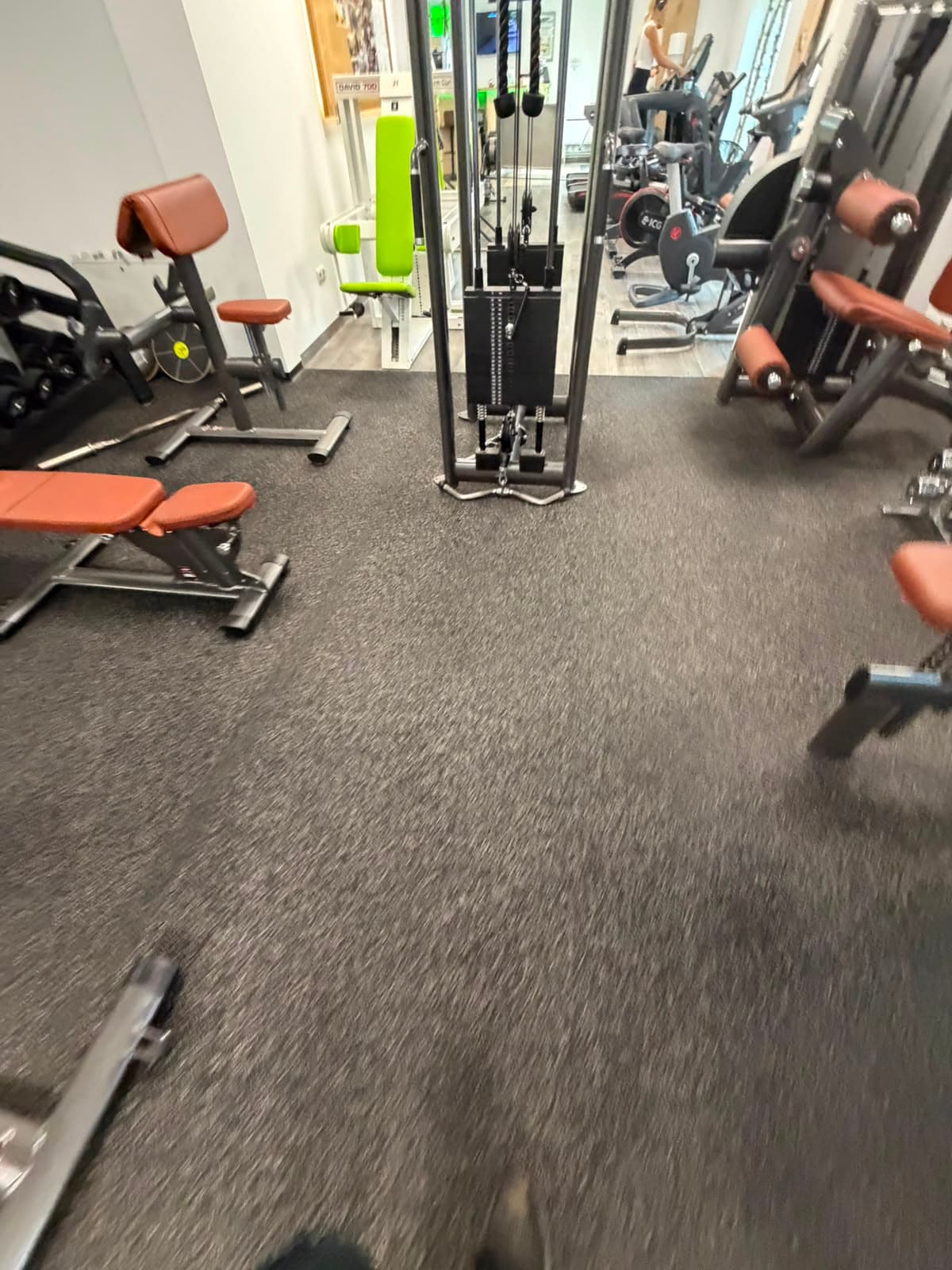 Fitness Wald – Reinigung 5